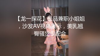 【龙一探花】极品兼职小姐姐，沙发AV视角展示，美乳翘臀骚货很配合