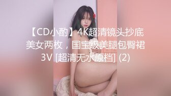 【CD小酌】4K超清镜头抄底美女两枚，国宝级美腿包臀裙3V [超清无水原档] (2)