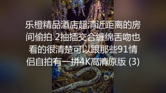 乐橙精品酒店超清近距离的房间偷拍 2抽插交合缠绵舌吻也看的很清楚可以跟那些91情侣自拍有一拼4K高清原版 (3)