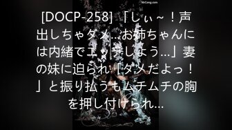 [DOCP-258] 「しぃ～！声出しちゃダメ…お姉ちゃんには内緒でエッチしよう…」妻の妹に迫られ「ダメだよっ！」と振り払うもムチムチの胸を押し付けられ…