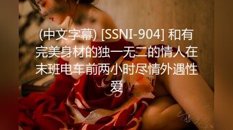 (中文字幕) [SSNI-904] 和有完美身材的独一无二的情人在末班电车前两小时尽情外遇性爱