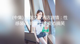 (中集) 淫荡大叔酒店激情：性感装备 轮番上阵 变态搞笑