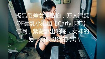 极品反差女神私拍，万人追踪OF豪乳小姐姐【Carly卡莉】订阅，紫薇露出啪啪，女神的另一面很母狗的 (3)