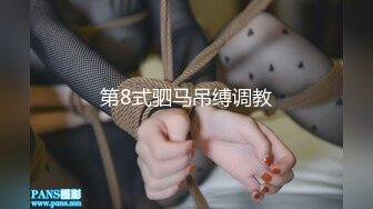 第8式驷马吊缚调教