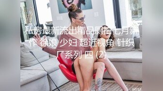 私房最新流出精品厕拍七月新作 徐娘 少妇 超近视角 针织厂系列 四 (2)