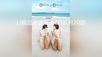 LJ极品地铁高清CD系列20部合集 (14)