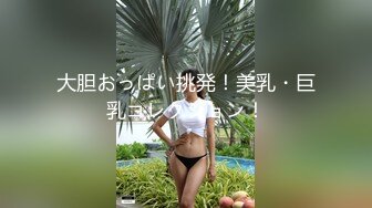 大胆おっぱい挑発！美乳・巨乳コレクション！