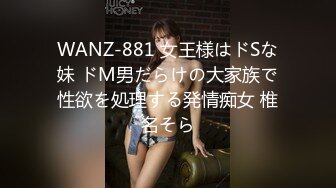 WANZ-881 女王様はドSな妹 ドM男だらけの大家族で性欲を処理する発情痴女 椎名そら